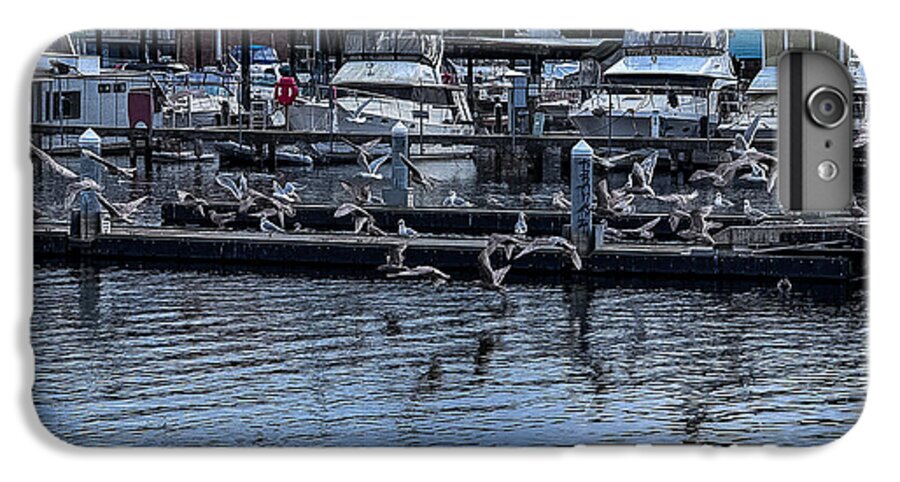 Birds at the Dock - Phone Case