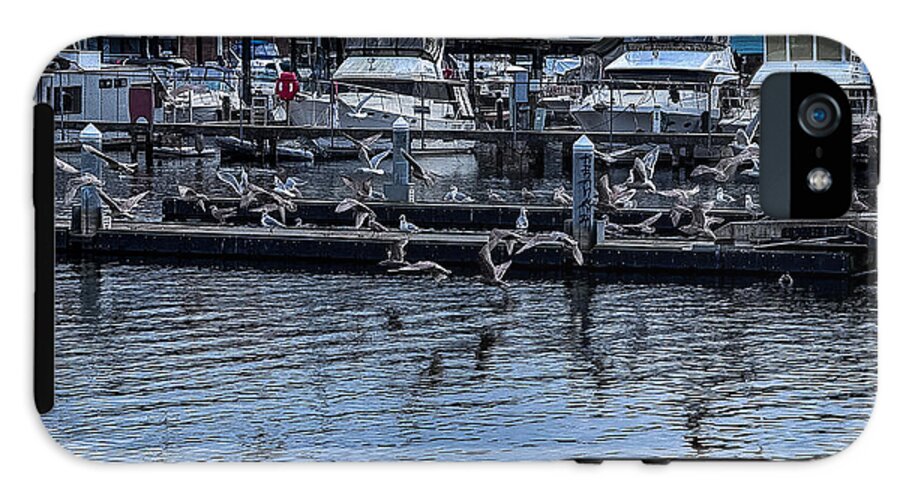 Birds at the Dock - Phone Case