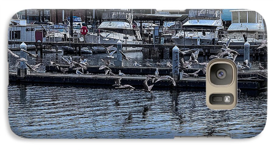 Birds at the Dock - Phone Case