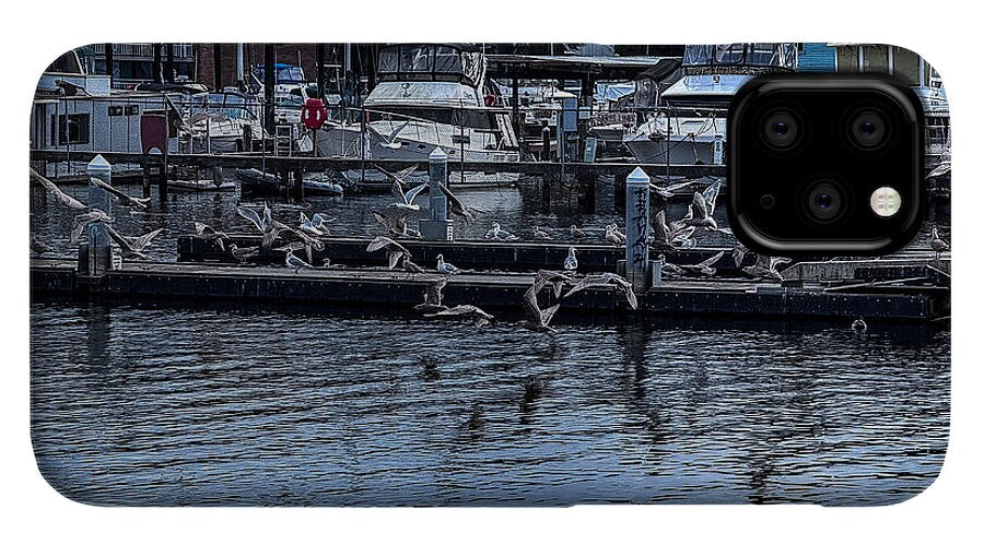 Birds at the Dock - Phone Case