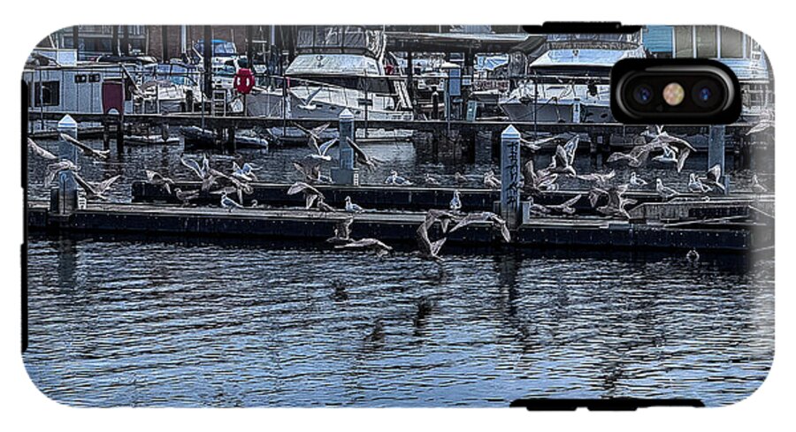 Birds at the Dock - Phone Case