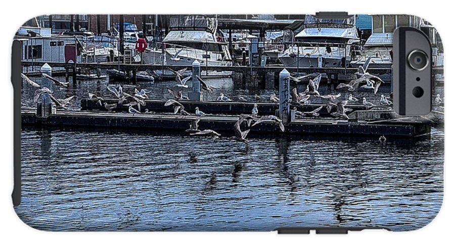 Birds at the Dock - Phone Case