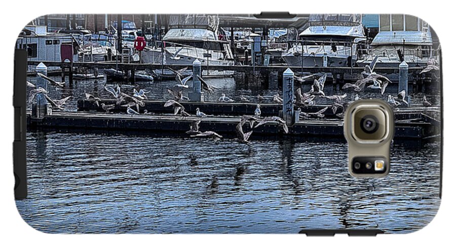 Birds at the Dock - Phone Case
