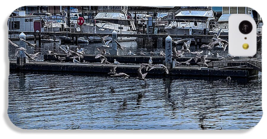 Birds at the Dock - Phone Case