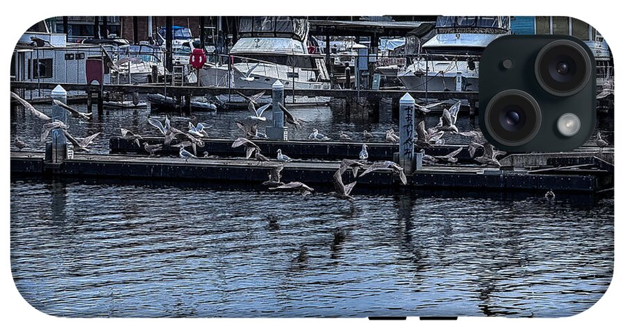Birds at the Dock - Phone Case