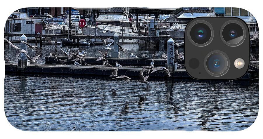 Birds at the Dock - Phone Case