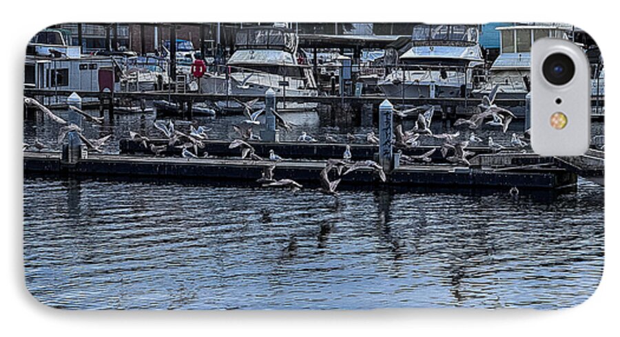 Birds at the Dock - Phone Case