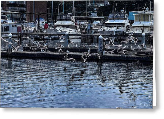 Birds at the Dock - Greeting Card