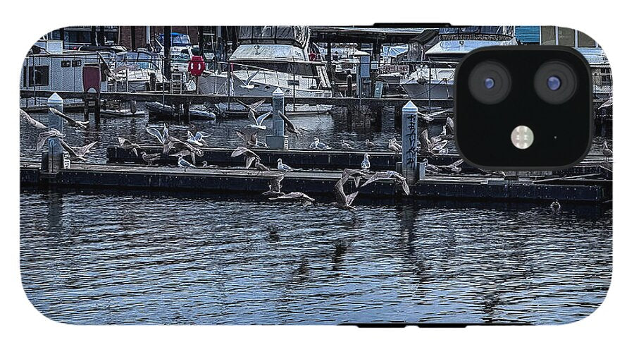 Birds at the Dock - Phone Case
