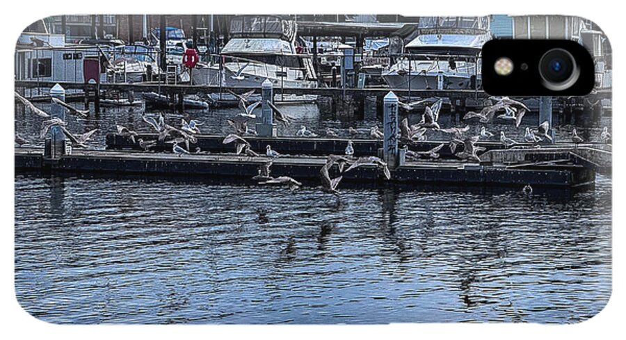 Birds at the Dock - Phone Case