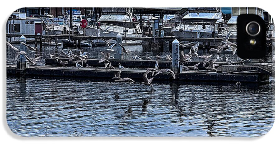 Birds at the Dock - Phone Case