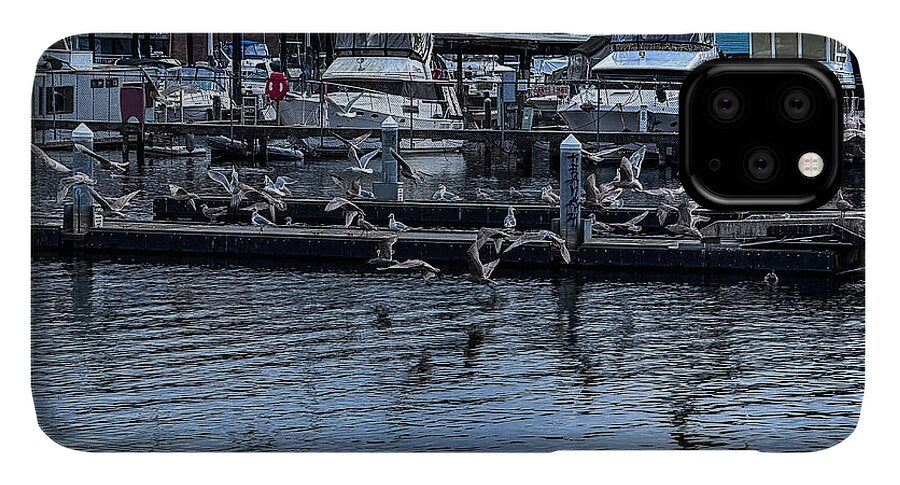 Birds at the Dock - Phone Case