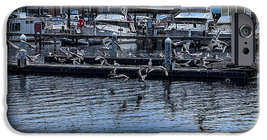 Birds at the Dock - Phone Case