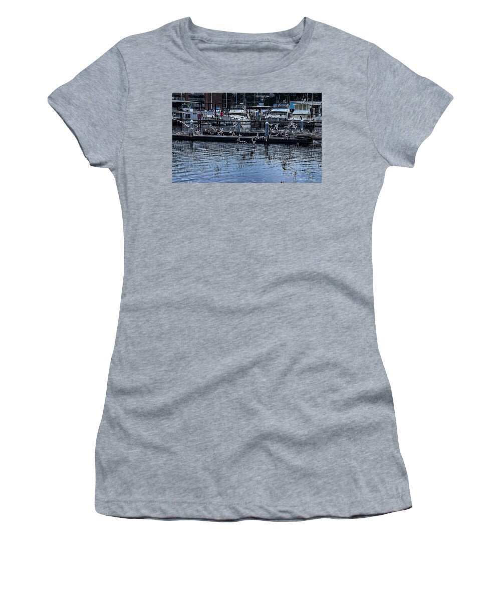 Birds at the Dock - Women's T-Shirt
