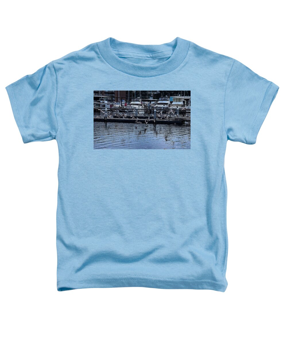 Birds at the Dock - Toddler T-Shirt