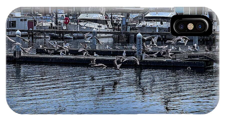 Birds at the Dock - Phone Case