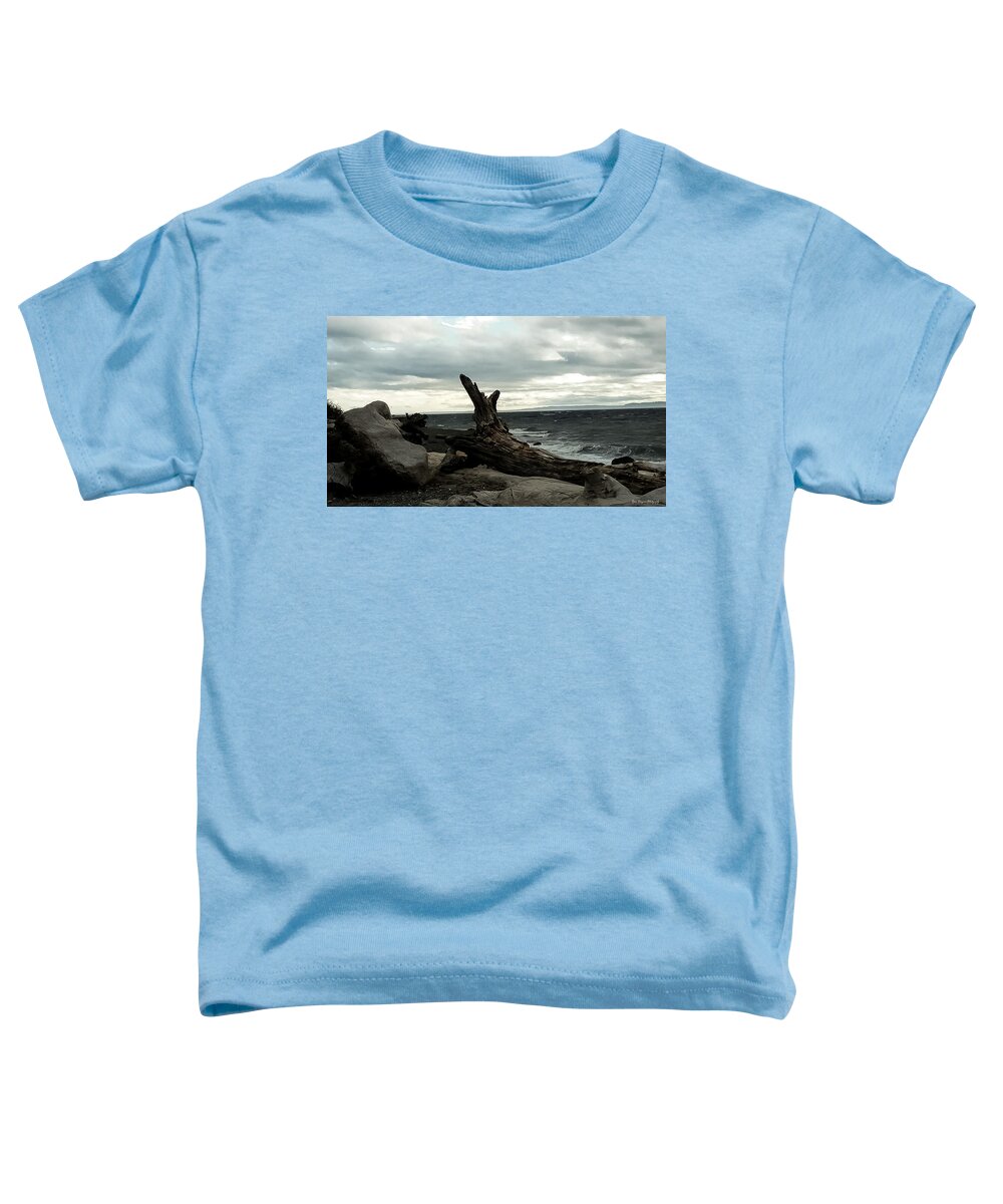 Burnt wood  - Toddler T-Shirt