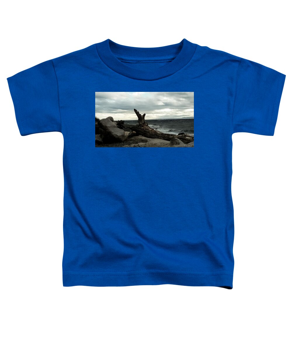 Burnt wood  - Toddler T-Shirt