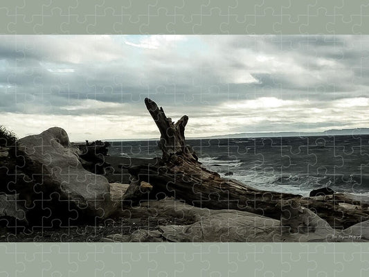 Burnt wood  - Puzzle