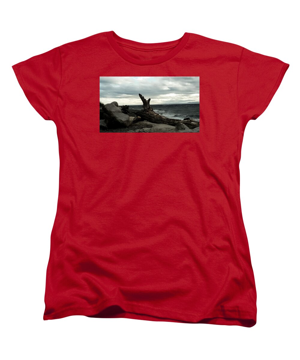 Burnt wood  - Women's T-Shirt (Standard Fit)