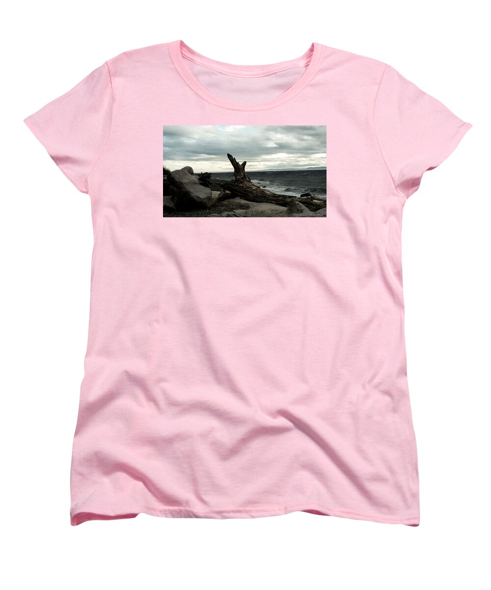 Burnt wood  - Women's T-Shirt (Standard Fit)