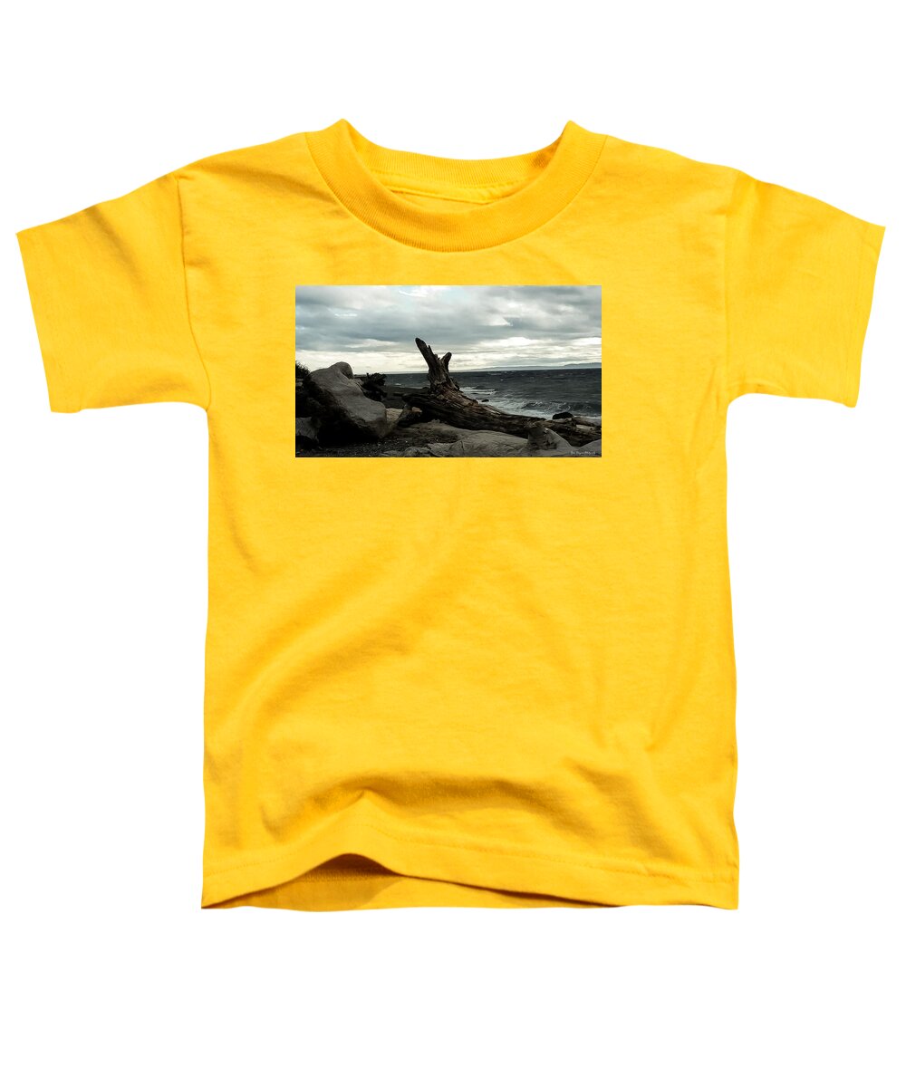 Burnt wood  - Toddler T-Shirt