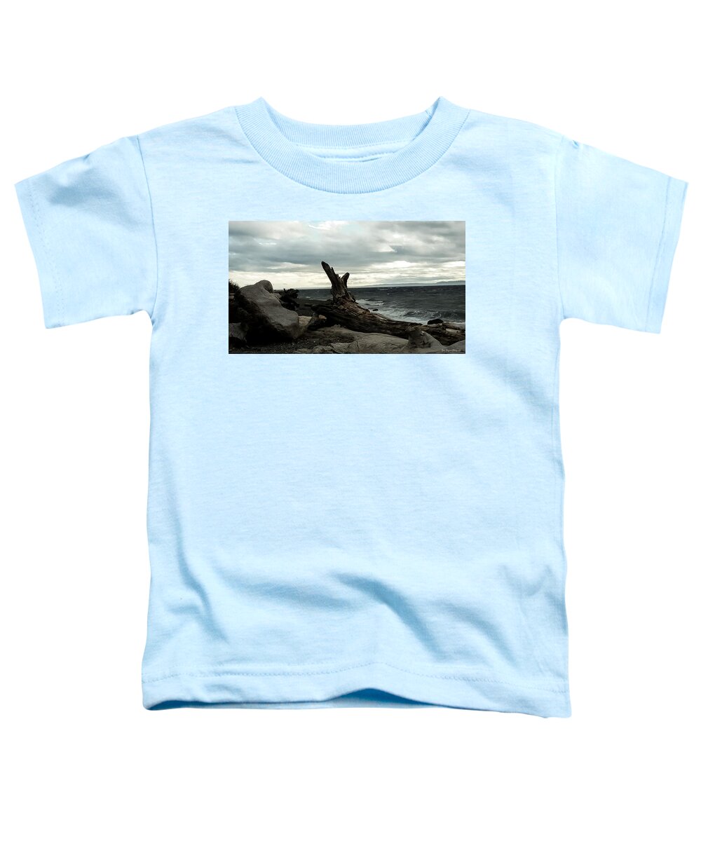 Burnt wood  - Toddler T-Shirt