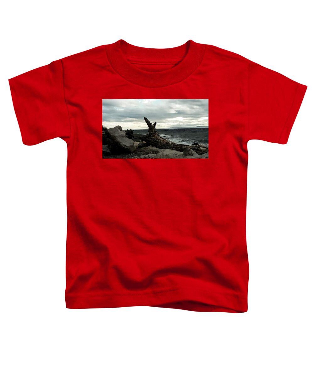 Burnt wood  - Toddler T-Shirt