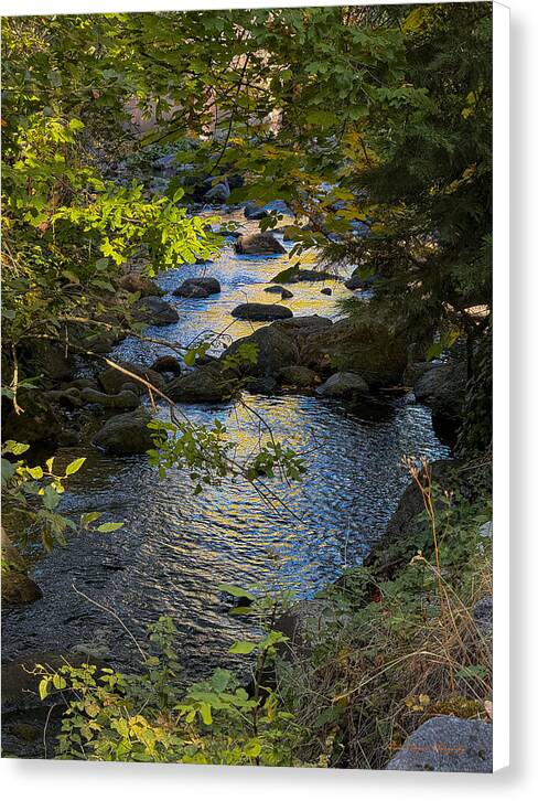 Creek  - Canvas Print
