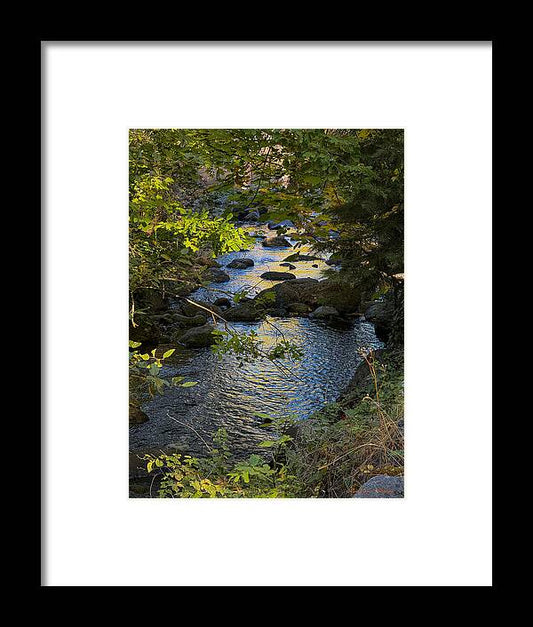 Creek  - Framed Print