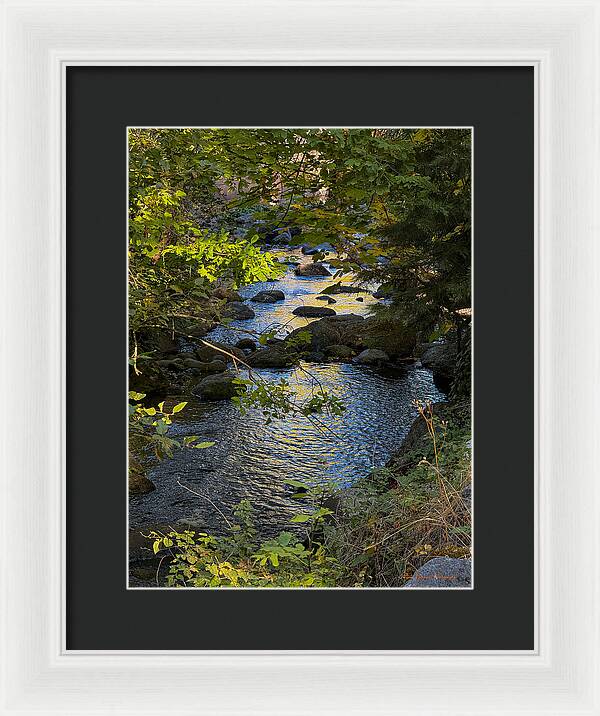 Creek  - Framed Print