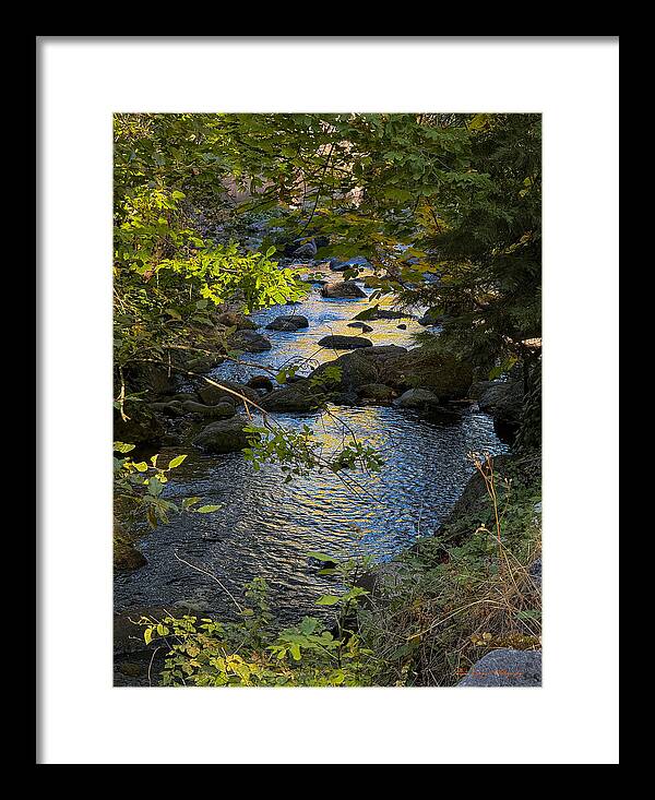 Creek  - Framed Print