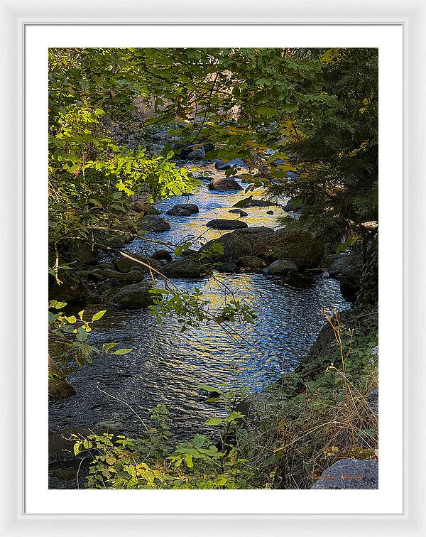 Creek  - Framed Print