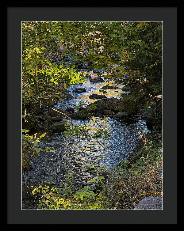 Creek  - Framed Print