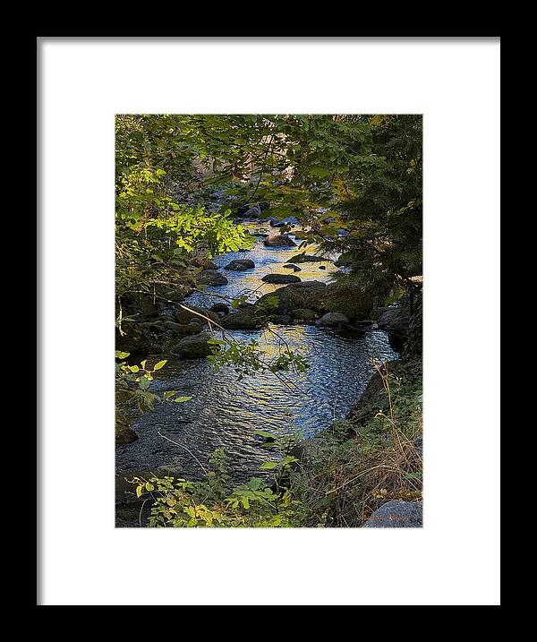 Creek  - Framed Print
