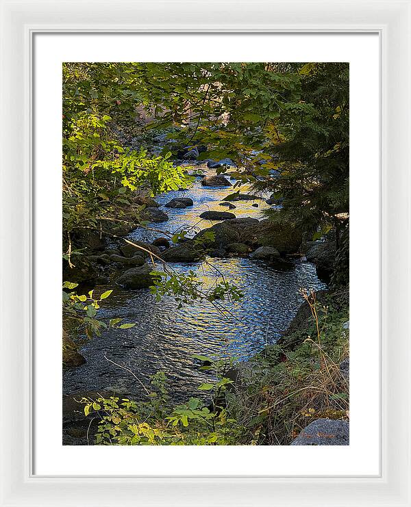 Creek  - Framed Print