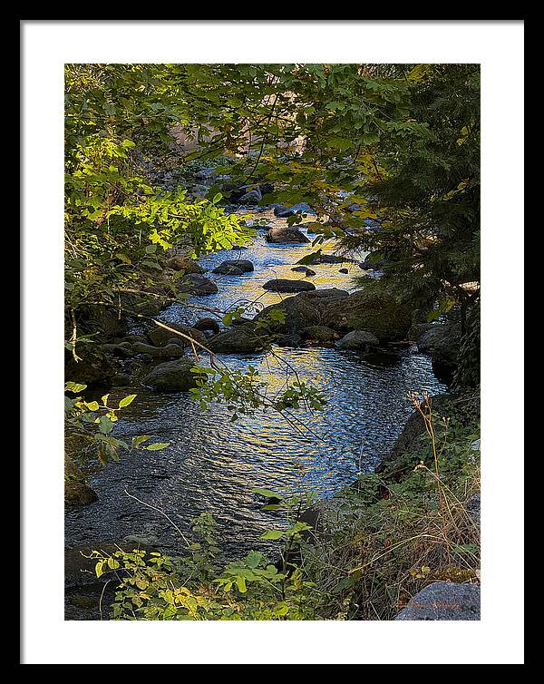 Creek  - Framed Print