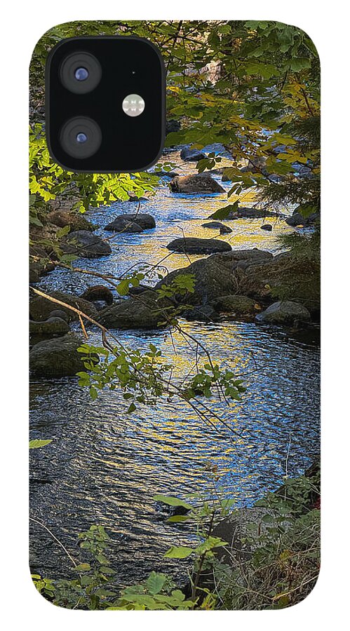 Creek  - Phone Case