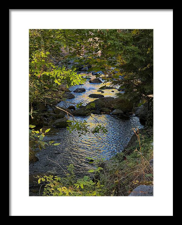 Creek  - Framed Print