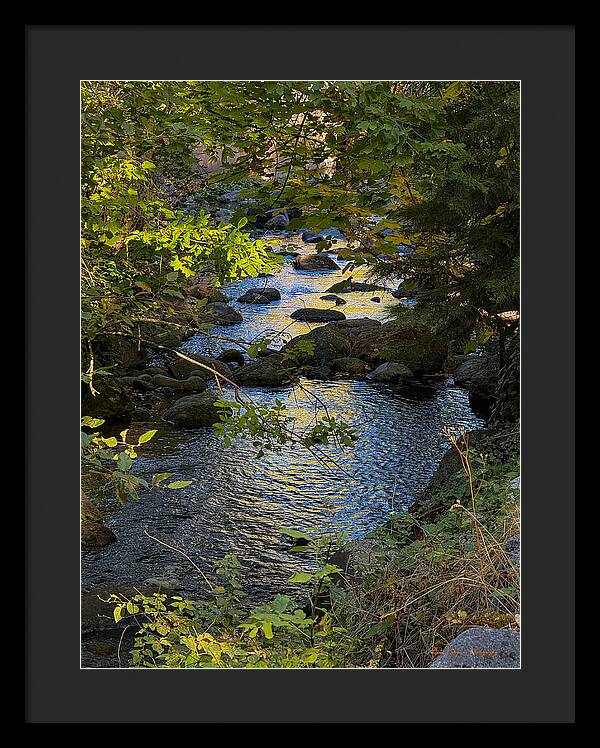 Creek  - Framed Print