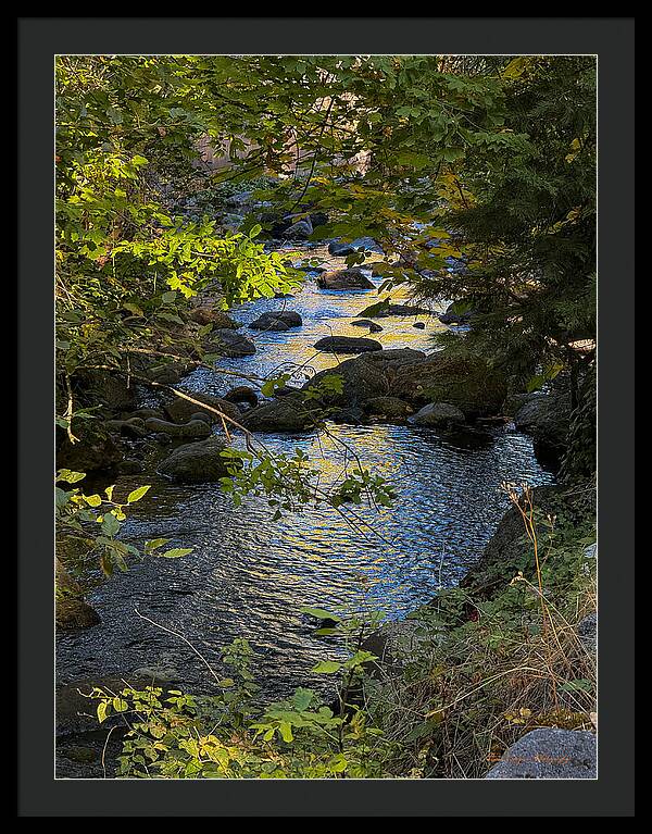 Creek  - Framed Print