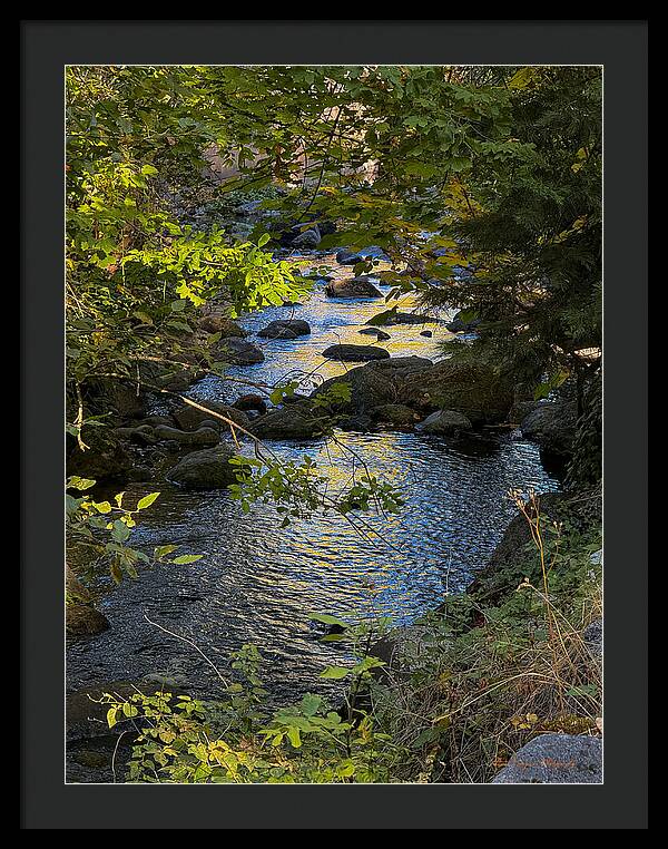 Creek  - Framed Print