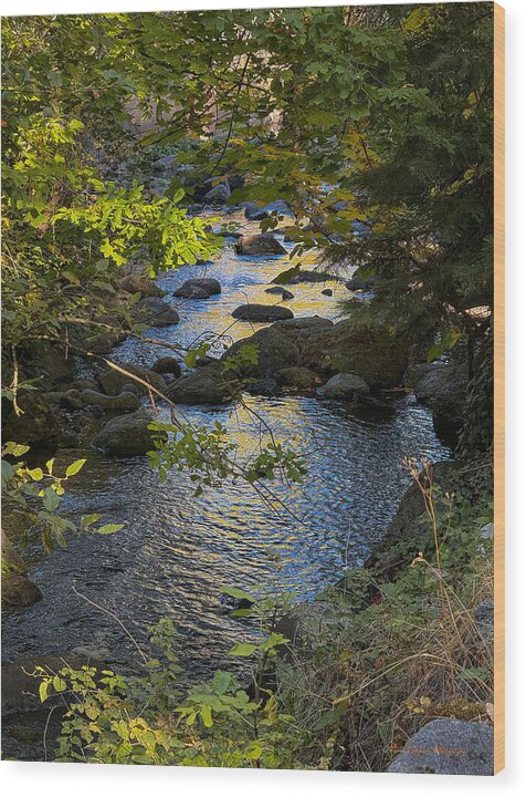 Creek  - Wood Print