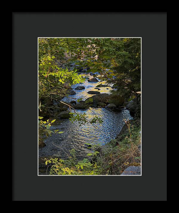 Creek  - Framed Print