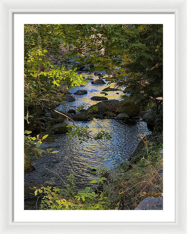 Creek  - Framed Print