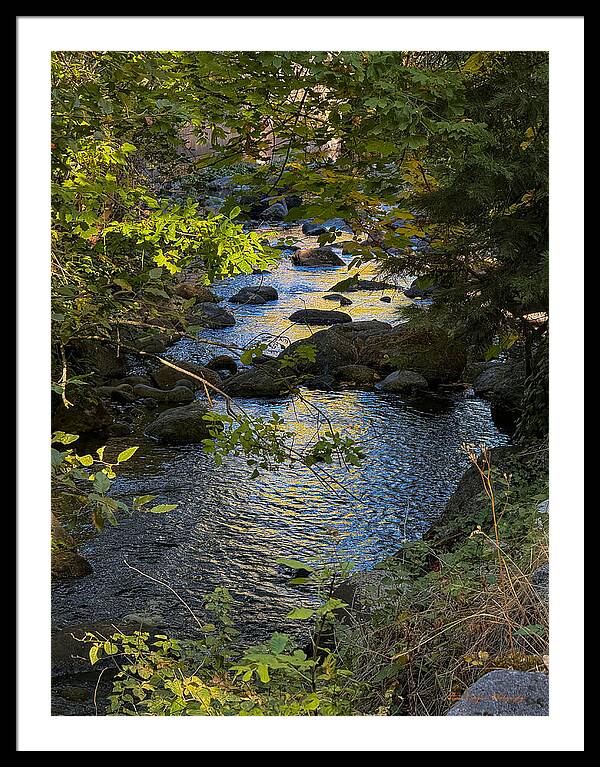 Creek  - Framed Print