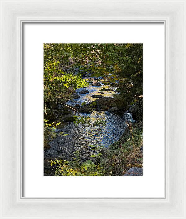 Creek  - Framed Print