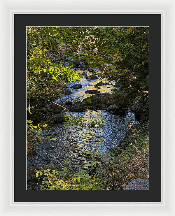 Creek  - Framed Print