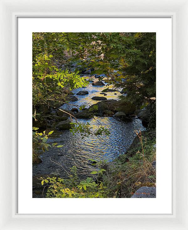 Creek  - Framed Print