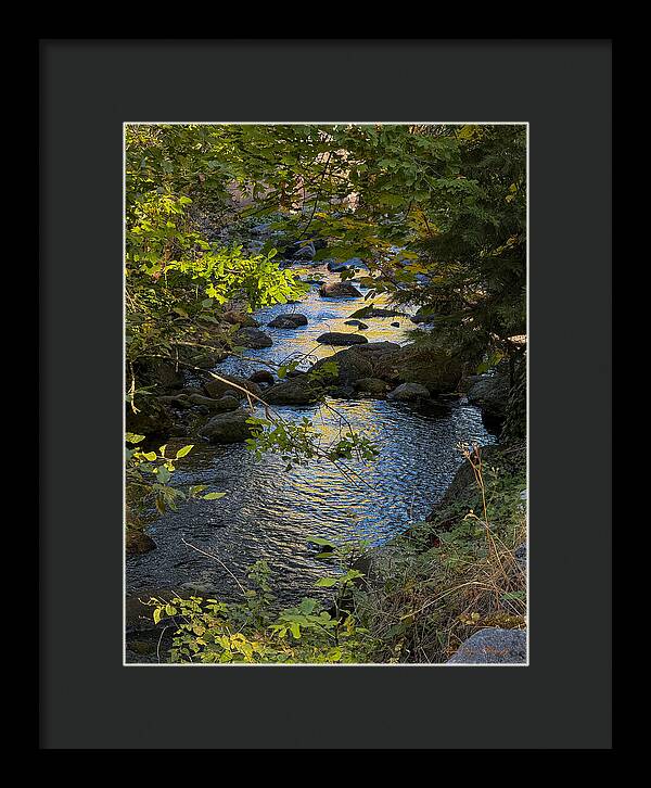 Creek  - Framed Print